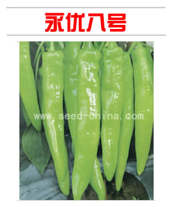 永優(yōu)八號