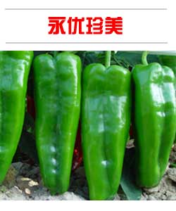 永優(yōu)珍美